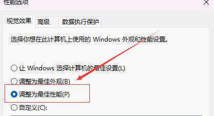 将性能设置为调整为最佳性能